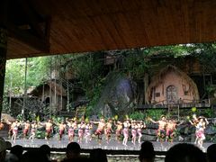 -海南槟榔谷黎苗文化旅游区