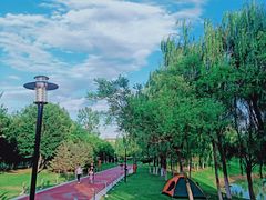 -莫子山公园