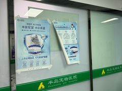 -半岛宠物医院24小时(科华中路店)