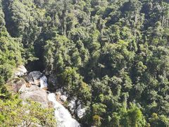 -海南热带雨林国家公园吊罗山景区