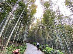 -天目湖涵田度假村