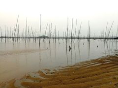 -北岐滩涂