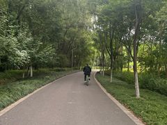 -昆山城市生态森林公园