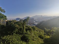 -大罗山风景区