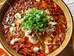 肥肠鱼-燕兵眉州肥肠鱼饭店