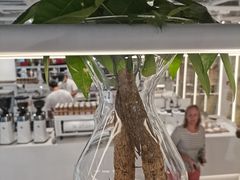 -% Arabica阿拉比卡咖啡(前滩太古里店)
