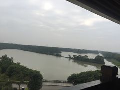 -大湾区中央湿地公园