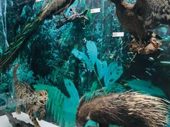 -国家自然博物馆