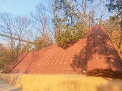 -北京西山国家森林公园