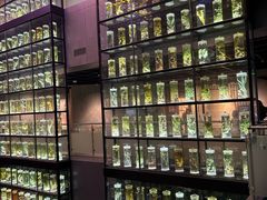 -广东中医药博物馆