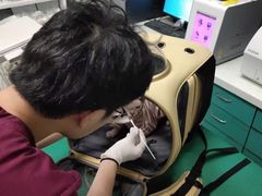 -瑞派申生动物医院·24H夜诊·国际动物医疗中心·骨外科(吴中路店)