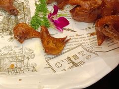 脆皮乳鸽-新南华大酒店(长寿店)