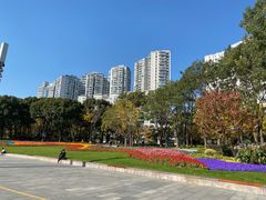 -北外滩滨江绿地