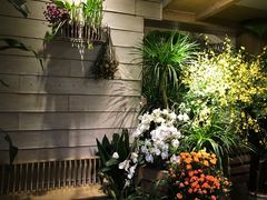 -春暖花开(西溪店)