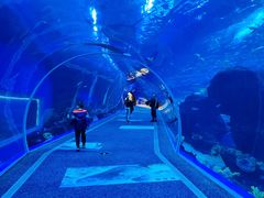-成都浩海立方海洋公园