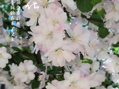 -海棠花溪(元大都城垣遗址公园)