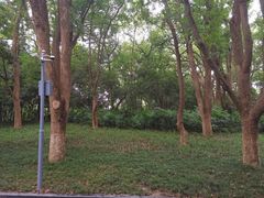 -小康菜馆(花桥二村社区店)