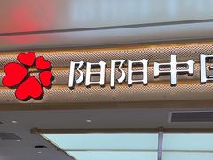 -阳阳中国饭(龙湖大兴天街)