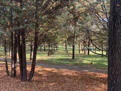 -森林公园(尖草坪区)