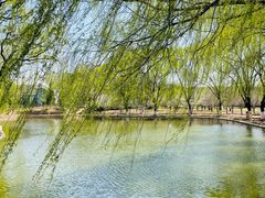 -石家庄市植物园