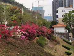 -小南山公园