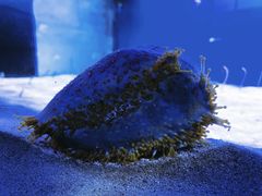 -波塞冬旅游度假区