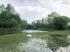 -西溪国家湿地公园