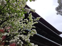 -报恩寺(平武县)