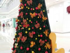 -沈阳HAI乐园