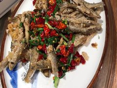 -印象鲵宴·张家界地标美食名片(溪布街店)