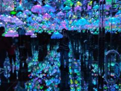 -天津梵高星空艺术馆(天河城旗舰店)