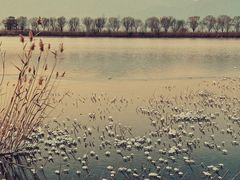 -野鸭湖国家湿地公园