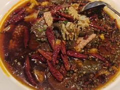 -肘子酥·天津捞面(德云社店)