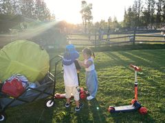 -前小桔亲子创意农场·草莓采摘·露营烧烤