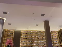 -深影国际影城(学院南路店CGS中国巨幕店)