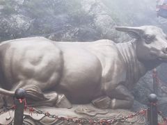 -老君山风景名胜区