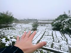 -四明山国家森林公园