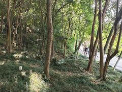 -采石矶景区