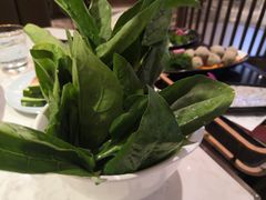 菠菜-捞神汤物料理(正大广场店)