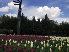 -长春公园(普阳街道)