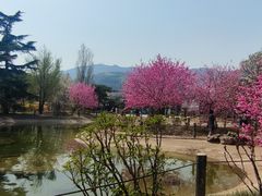 -国家植物园南园