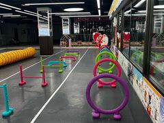 -全心全意动物诊疗中心医院(北苑店)