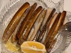 -Tapa Tapa