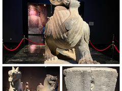 -洛阳博物馆