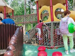 -合肥滨湖国家森林公园