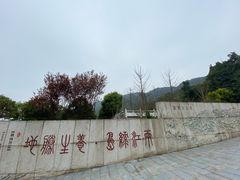 -铁山坪森林公园