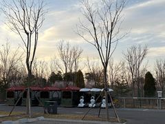 -爪吧宠物乐园 (温榆河示范区店)