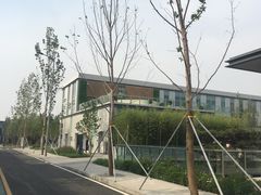 -白洋淀景区