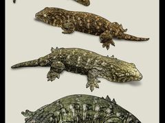 -Rabbit Cafe私房西餐甜点咖啡(栖霞路店)