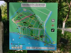 -合肥滨湖国家森林公园